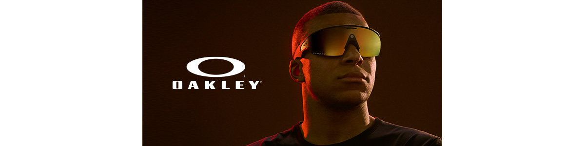 Banner de categoría